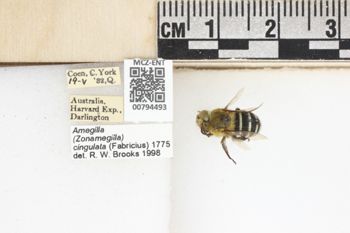 Media type: image;   Entomology 794493 Aspect: labels